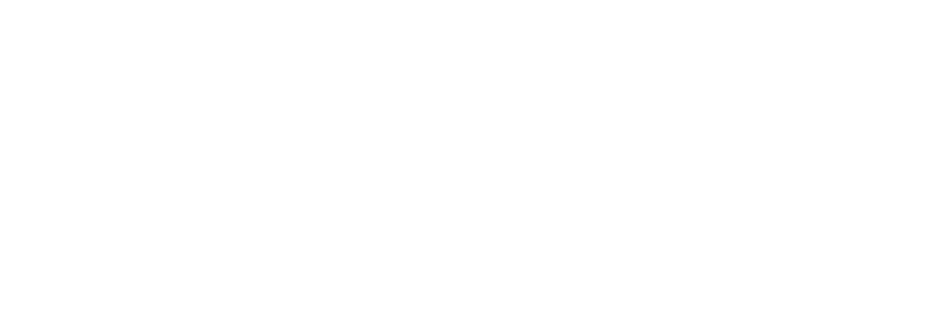 Logo Footer
